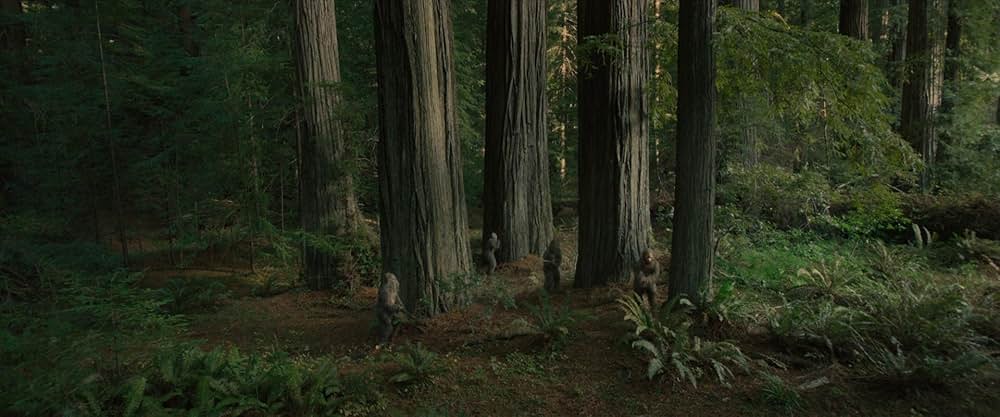 サスカッチ・サンセットの画像