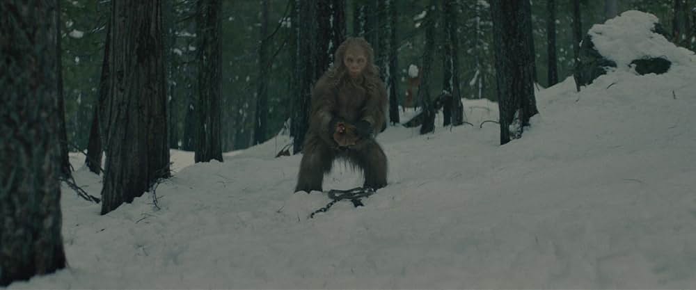 サスカッチ・サンセットの画像