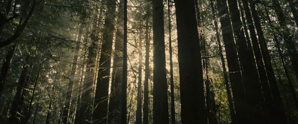 サスカッチ・サンセットの画像