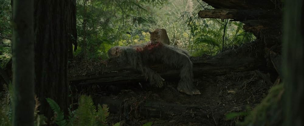 サスカッチ・サンセットの画像