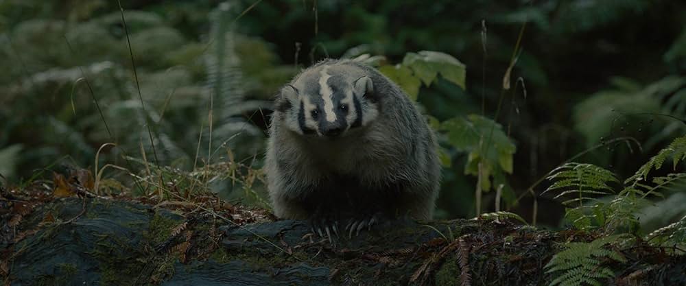 サスカッチ・サンセットの画像