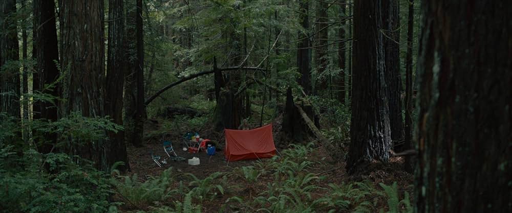 サスカッチ・サンセットの画像