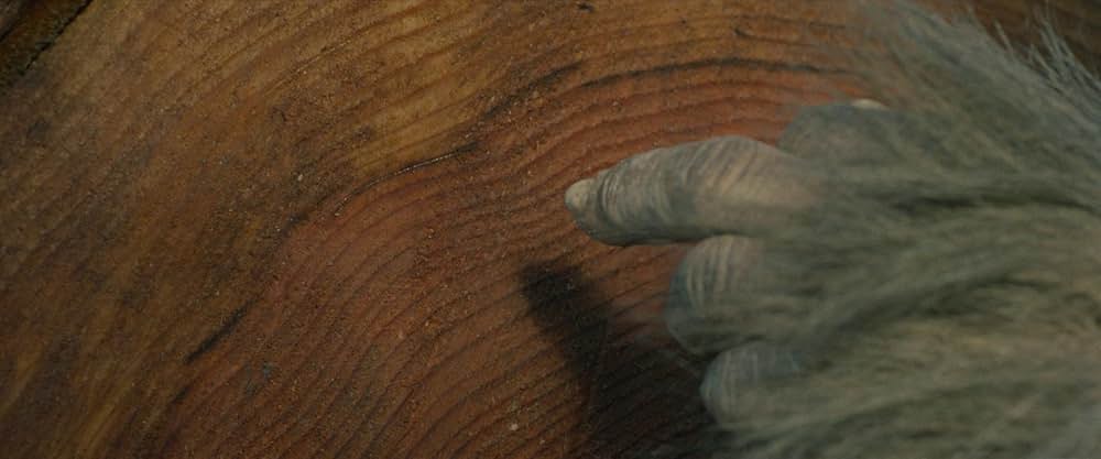 サスカッチ・サンセットの画像