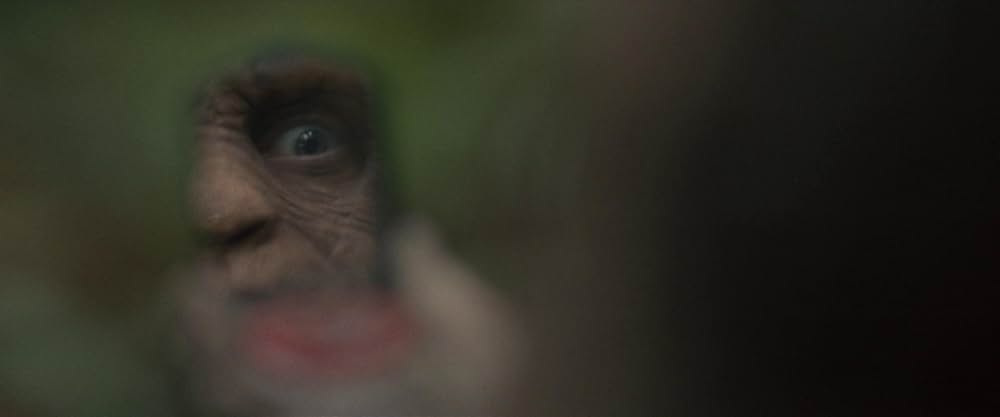 サスカッチ・サンセットの画像