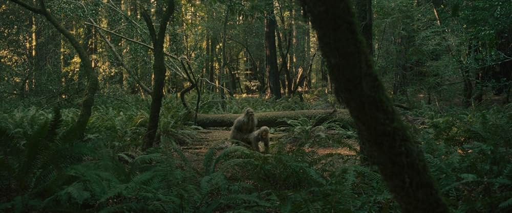 サスカッチ・サンセットの画像