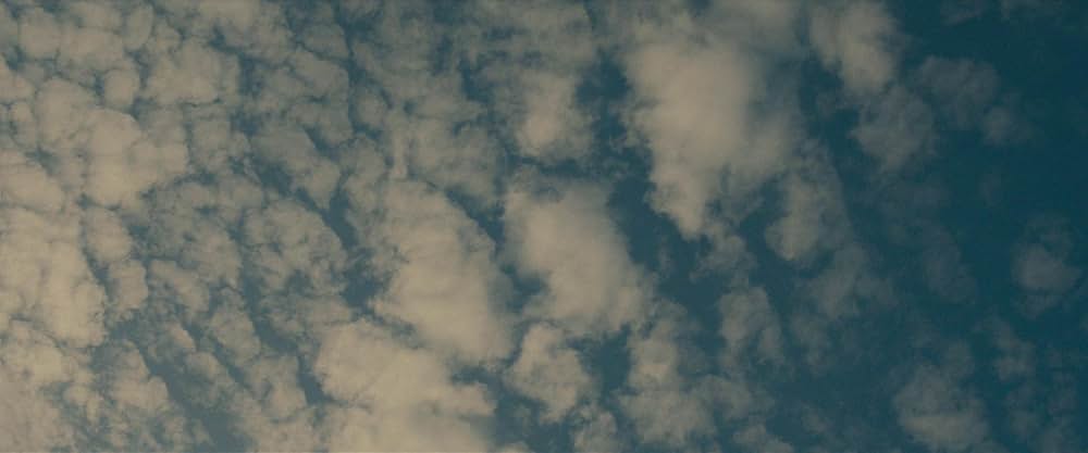 サスカッチ・サンセットの画像