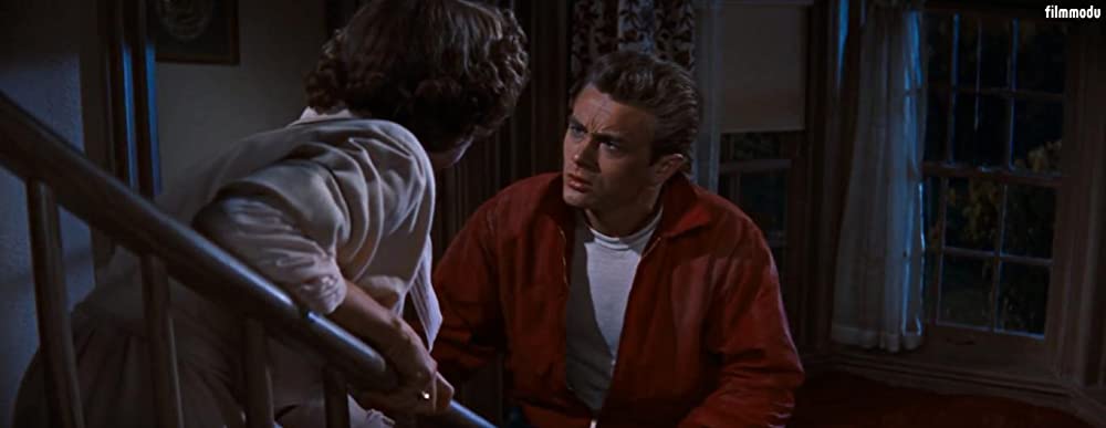 理由なき反抗の画像