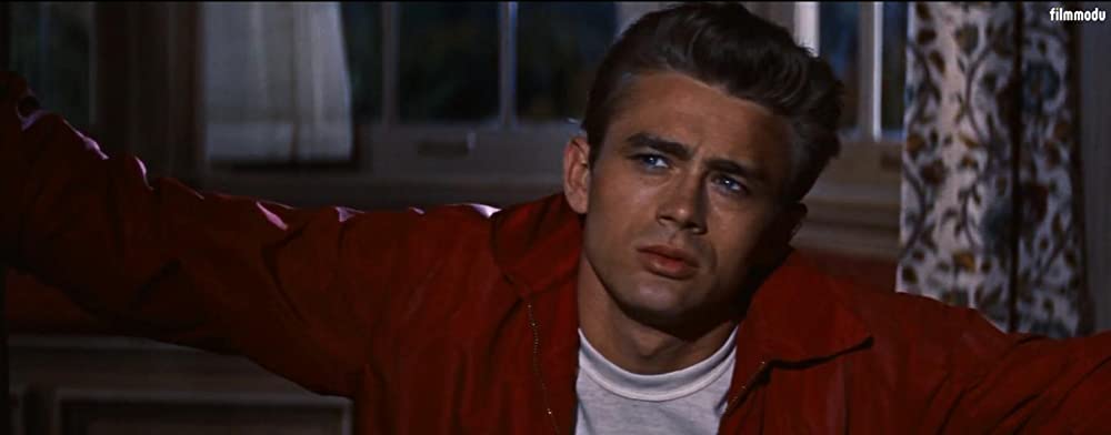 理由なき反抗の画像