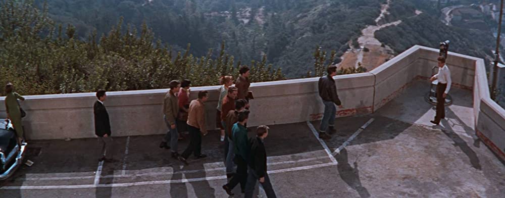 理由なき反抗の画像