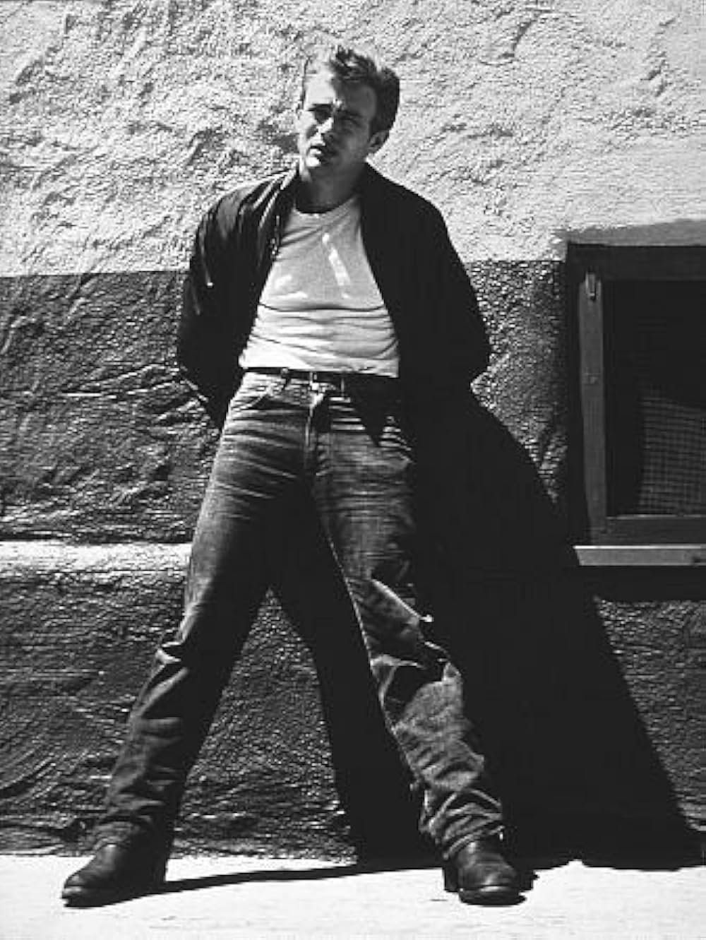 理由なき反抗の画像