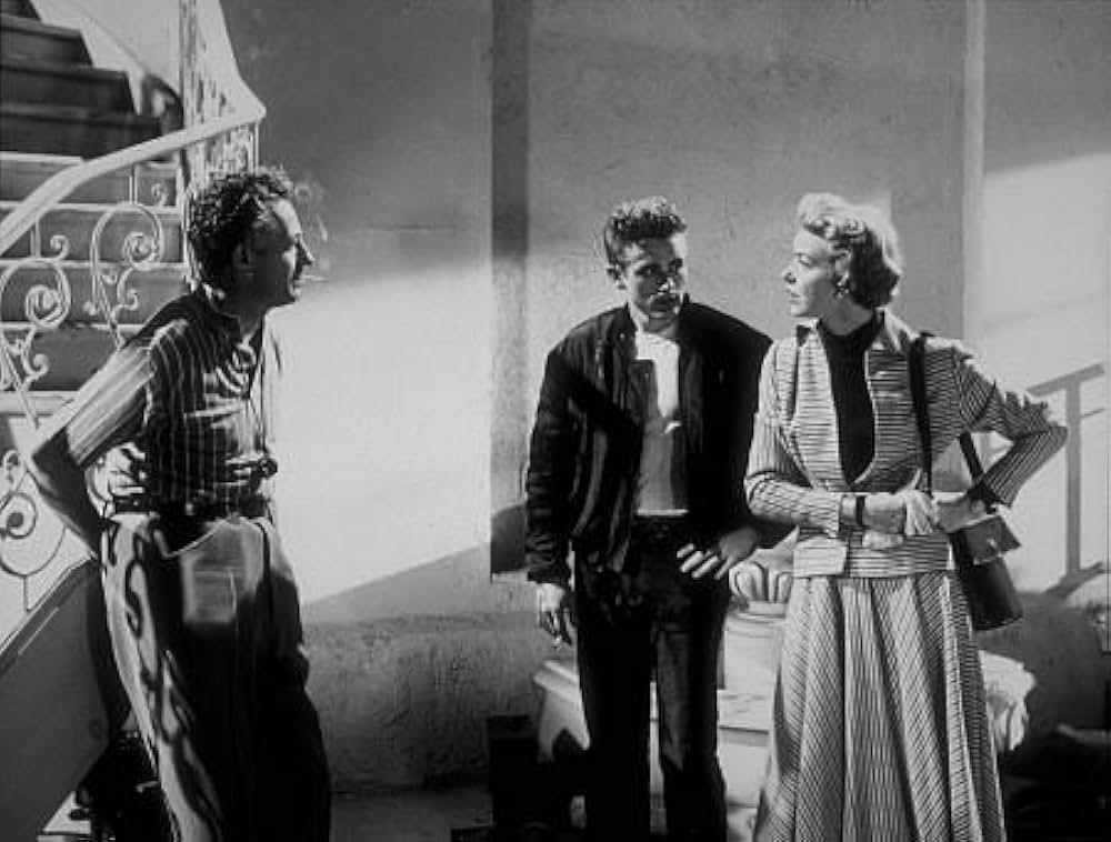 理由なき反抗の画像