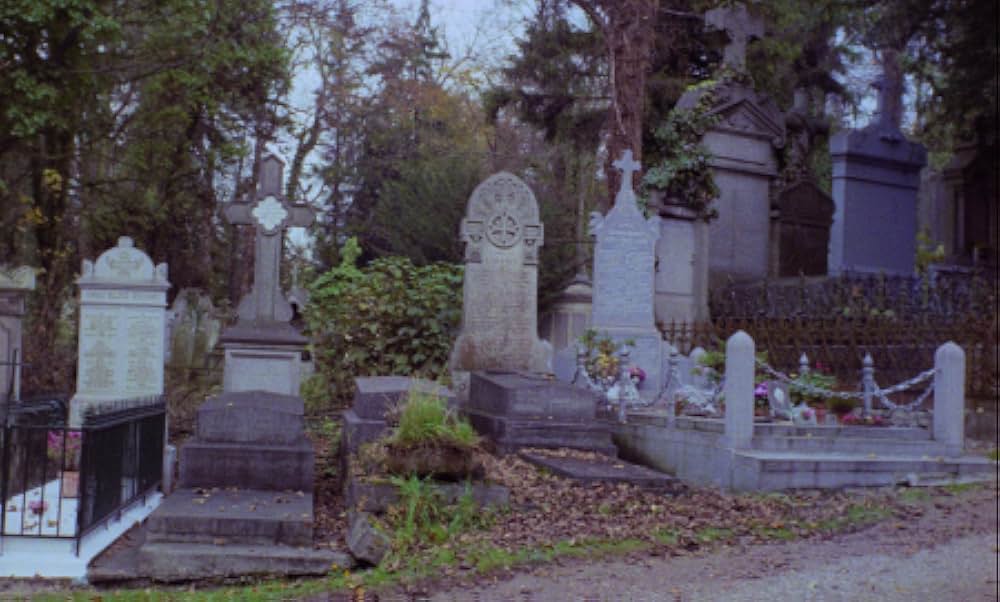 The Iron Rose（英題）の画像