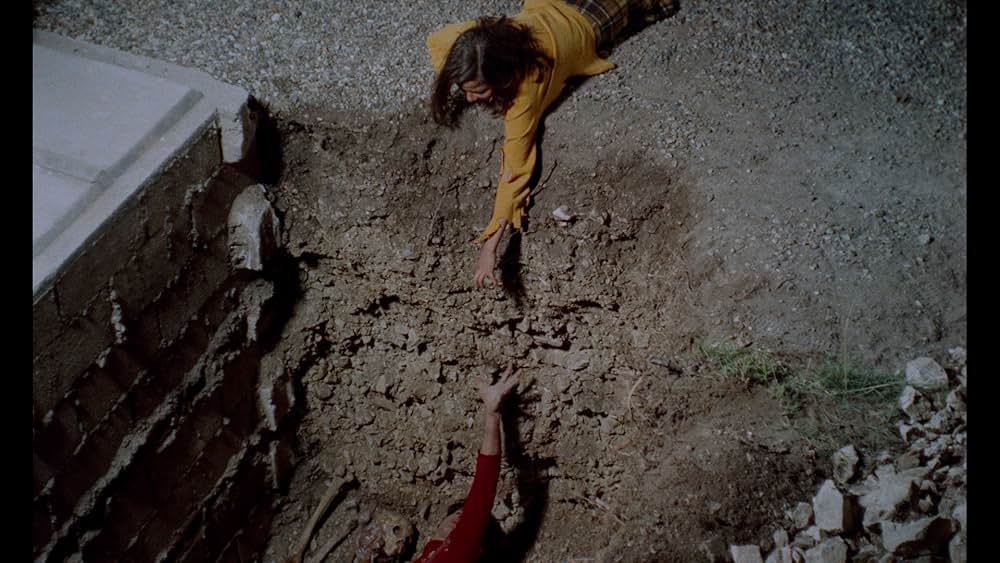 The Iron Rose（英題）の画像