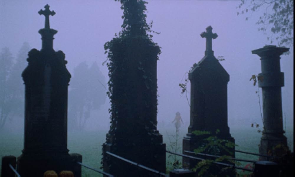 The Iron Rose（英題）の画像