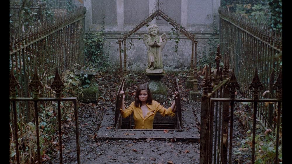 The Iron Rose（英題）の画像