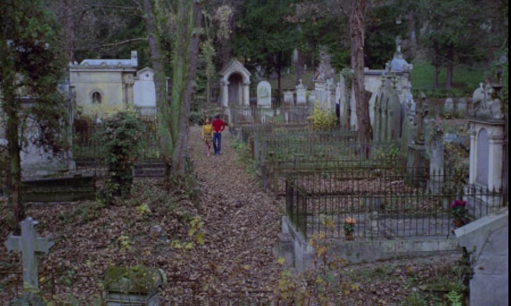 The Iron Rose（英題）の画像