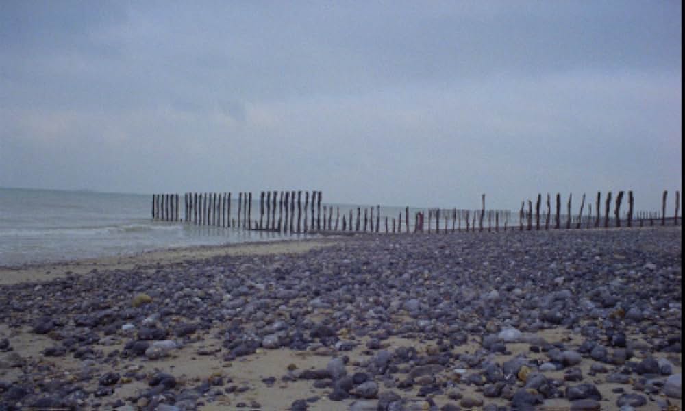 The Iron Rose（英題）の画像