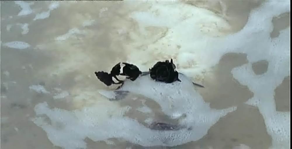 The Iron Rose（英題）の画像