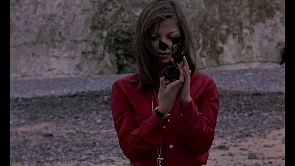 The Iron Rose（英題）の画像