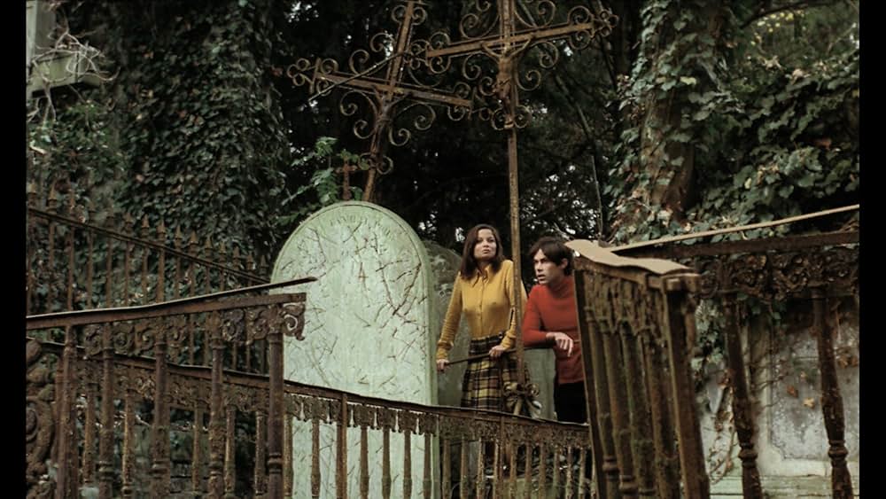 The Iron Rose（英題）の画像