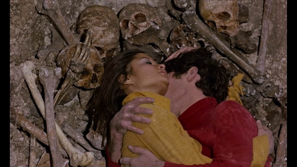 The Iron Rose（英題）の画像