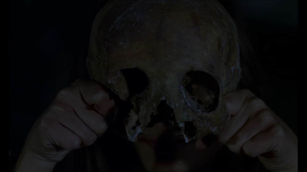 The Iron Rose（英題）の画像