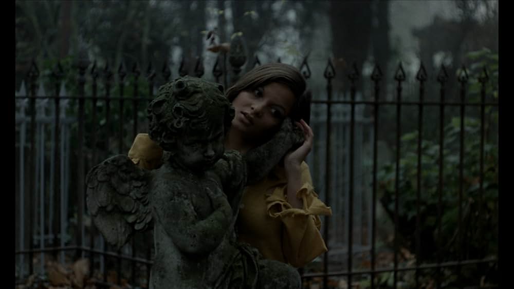 The Iron Rose（英題）の画像