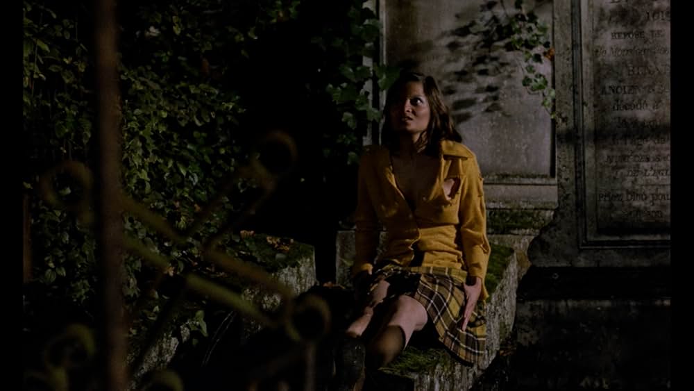 The Iron Rose（英題）の画像