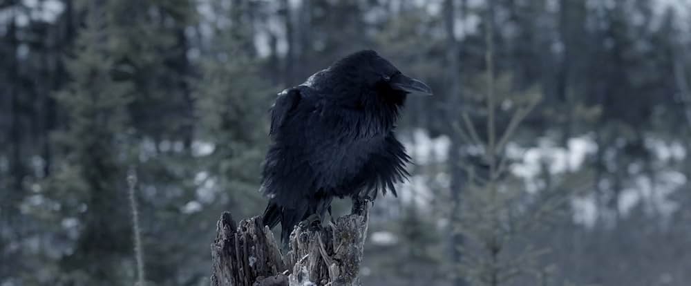 WITCH GAME／ウィッチ・ゲームの画像