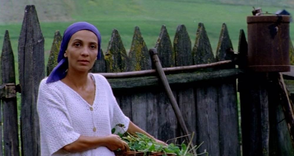 Katalin Varga（原題）の画像