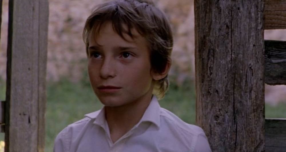 Katalin Varga（原題）の画像