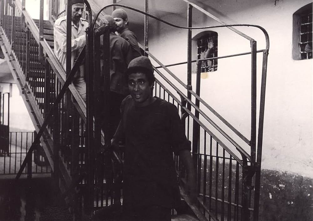 アレキサンドリアWHY?の画像