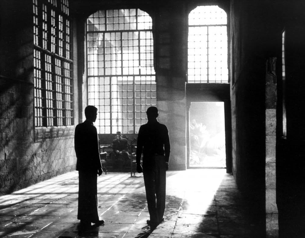 アレキサンドリアWHY?の画像