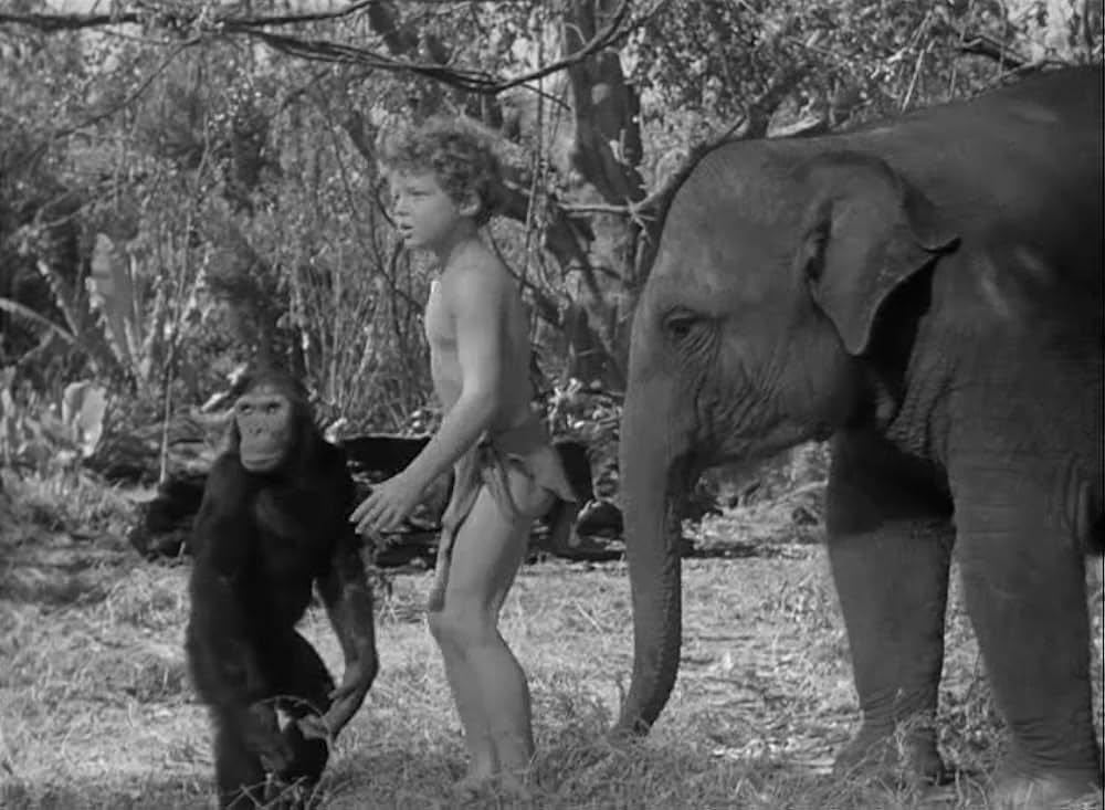 ターザンの黄金の画像