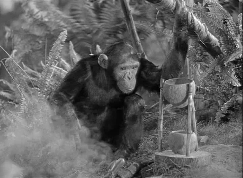 ターザンの黄金の画像