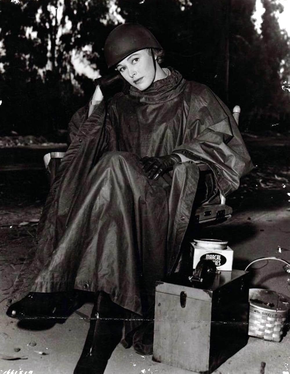 わが愛は終りなしの画像