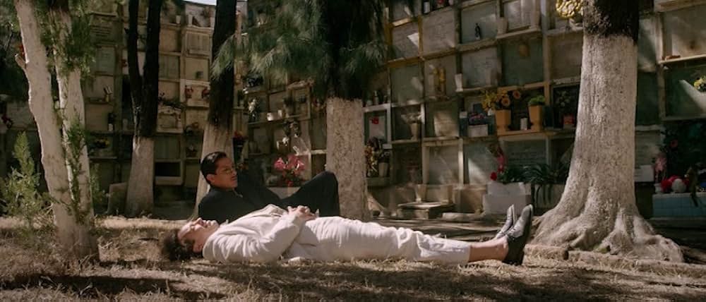 エイゼンシュテイン・イン・グアナファトの画像