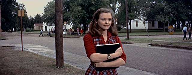 ピクニックの画像