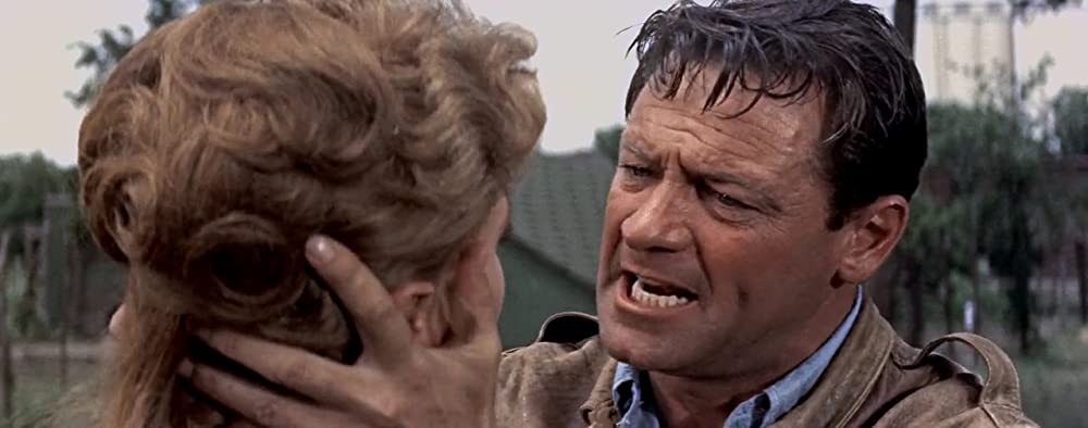 ピクニックの画像