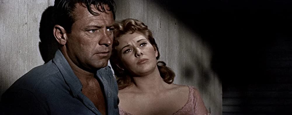 ピクニックの画像