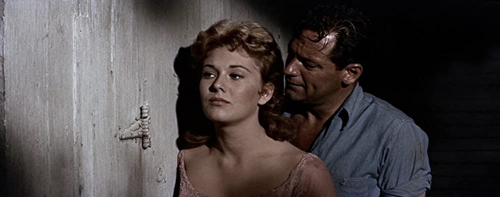 ピクニックの画像