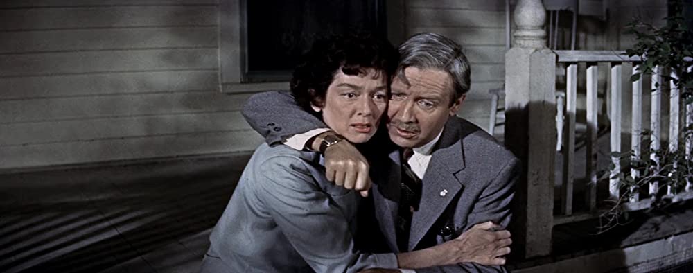 ピクニックの画像