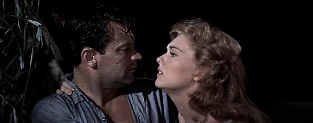 ピクニックの画像