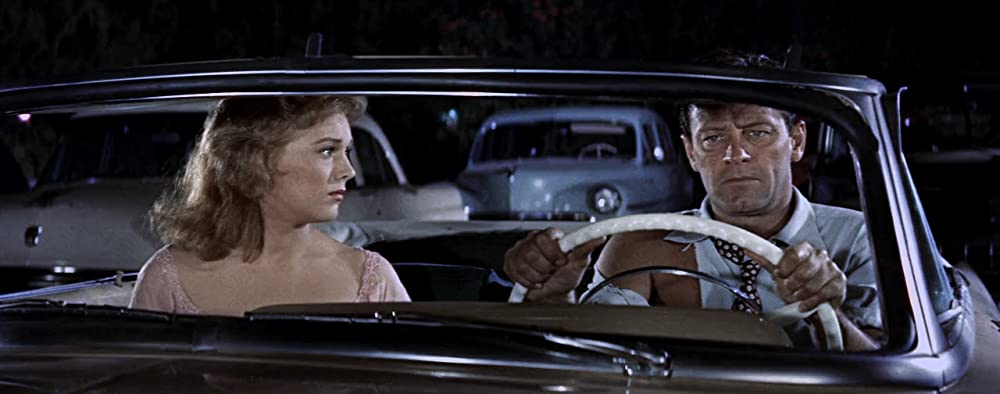 ピクニックの画像