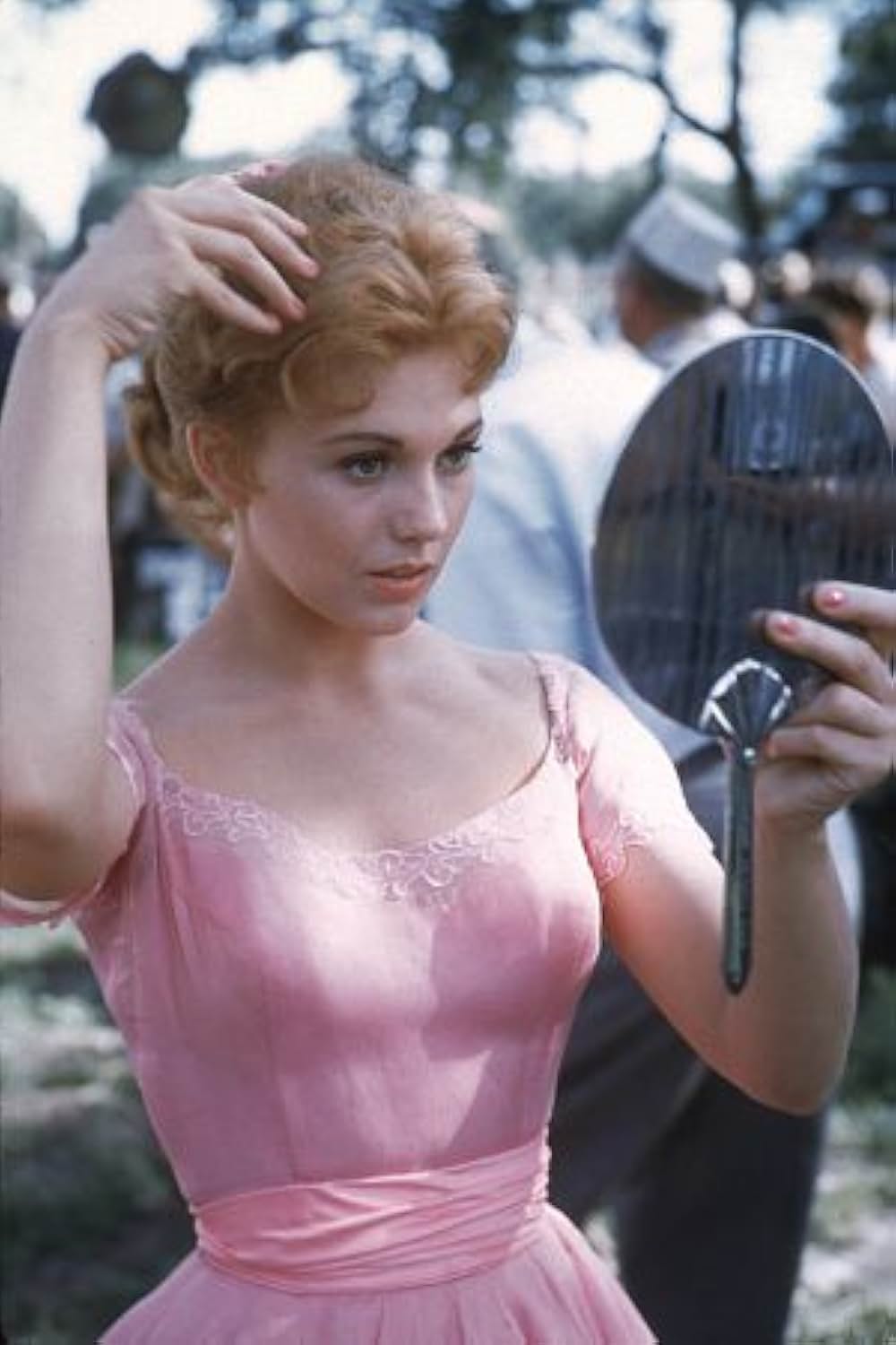 ピクニックの画像