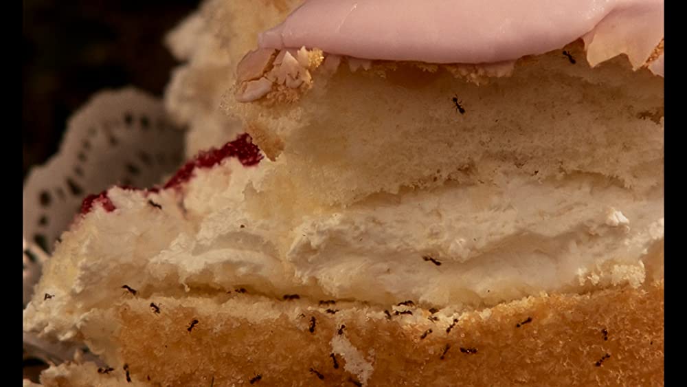 ピクニックatハンギング・ロックの画像