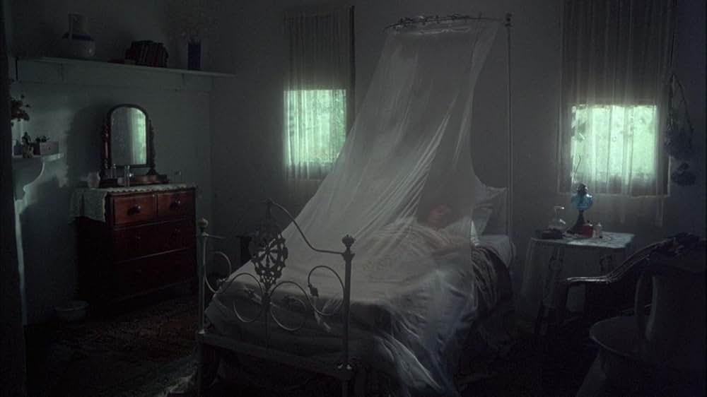 ピクニックatハンギング・ロックの画像