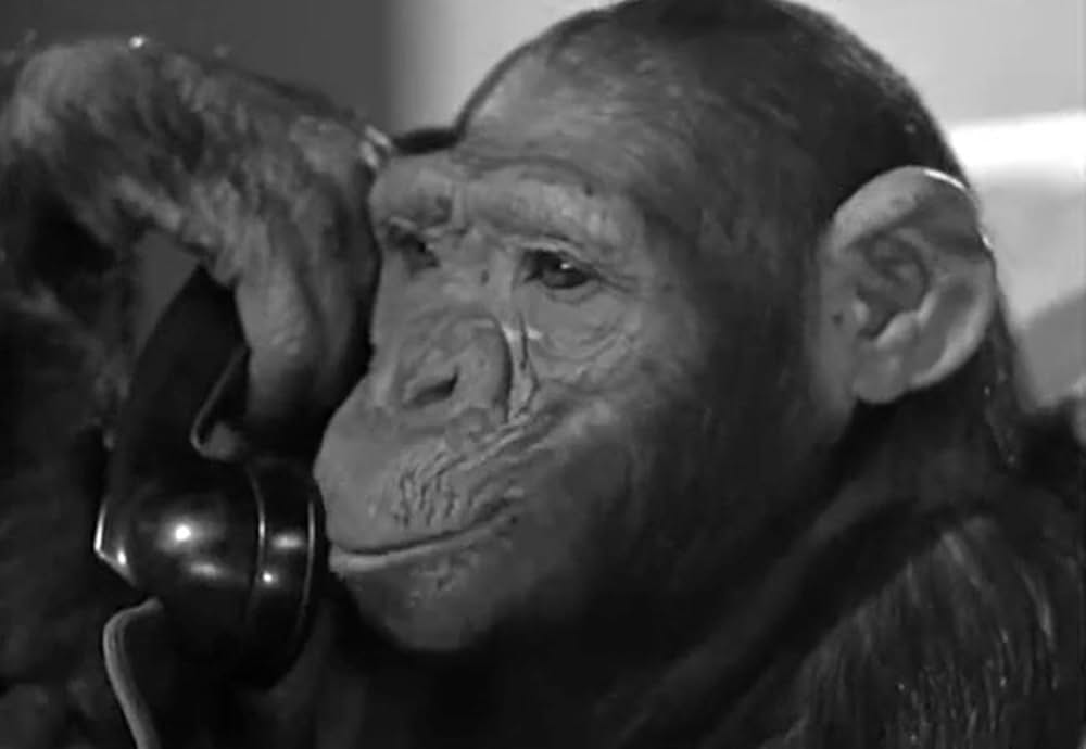 ターザン紐育へ行くの画像