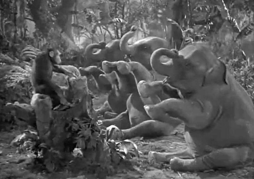 ターザン紐育へ行くの画像