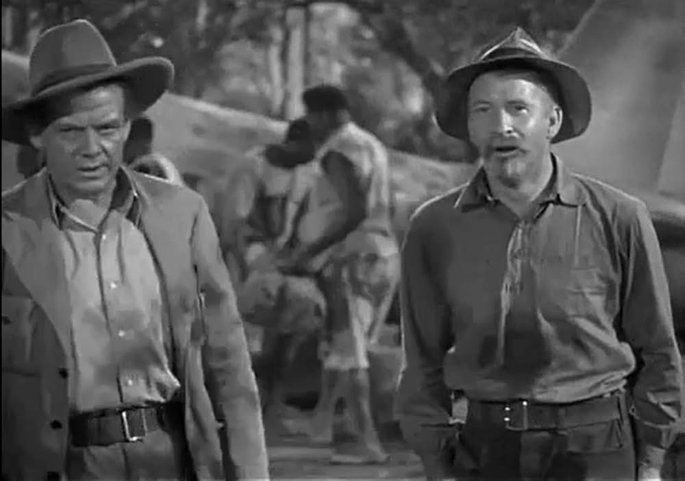 ターザン紐育へ行くの画像